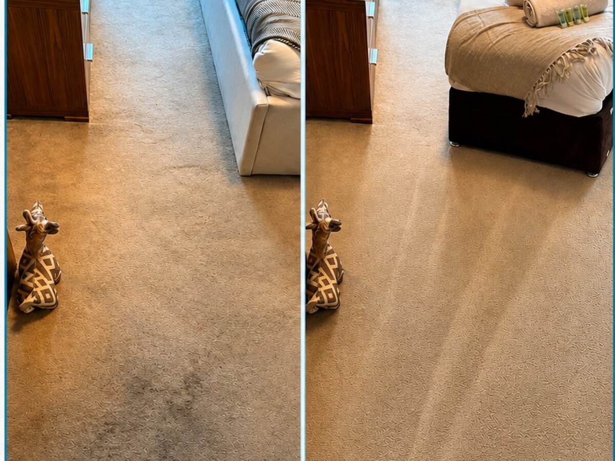 Living room carpet stain removal before and after, Greater Manchester